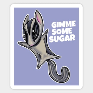 Cute Pet Sugar Glider Flying Squirrel Magnet